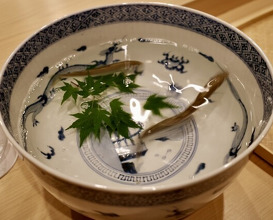 Dinner at Sakuragi (櫻木)