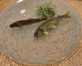 Dinner at Sakuragi (櫻木)