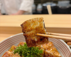 Dinner at Sakuragi (櫻木)