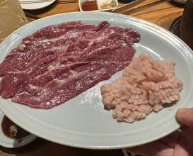 Dinner at Sumibiyakiniku Horumon Sawaishi