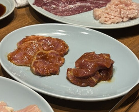Dinner at Sumibiyakiniku Horumon Sawaishi