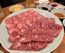Dinner at Sumibiyakiniku Horumon Sawaishi