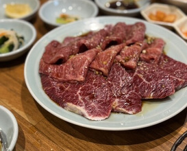 Dinner at Sumibiyakiniku Horumon Sawaishi