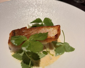 Dinner at SECRETO (SECRETO)