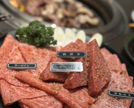 Dinner at Yakiniku Seiryuuen (焼肉 静龍苑)