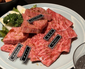 Dinner at Yakiniku Seiryuuen (焼肉 静龍苑)