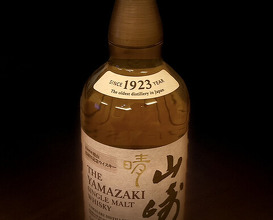Dinner at Japanese restaurant Seizan