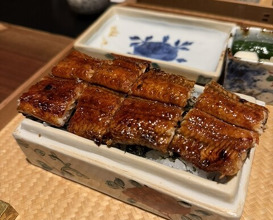 Dinner at Japanese restaurant Seizan