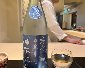 Dinner at Japanese restaurant Seizan