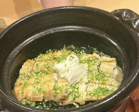 Dinner at Japanese restaurant Seizan