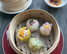 Dinner at Canton Ryori Sense (広東料理 センス)