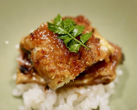 Dinner at Shimbashi Hoshino (新ばし 星野)