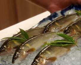 Dinner at Syumokuchou Shimizu