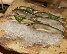 Dinner at Syumokuchou Shimizu