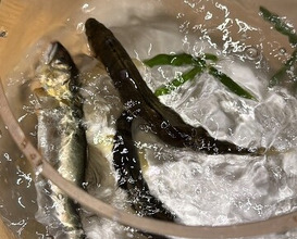 Dinner at Syumokuchou Shimizu
