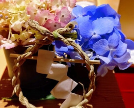 Dinner at Ginza Shinohara