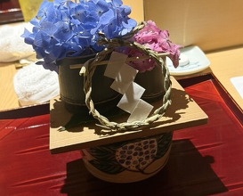 Dinner at Ginza Shinohara