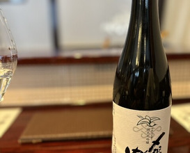 Dinner at Kappou Shintaku (割烹 新多久)