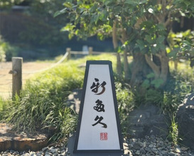 Dinner at Kappou Shintaku (割烹 新多久)