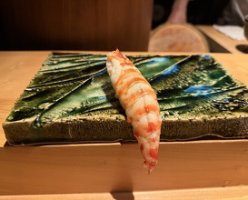 Dinner at Sushi Shizuku Shinsaibashi