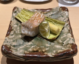 Dinner at Sushi shota (Sapporo)