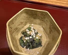 Dinner at Shizen Muku An (召膳 無苦庵)