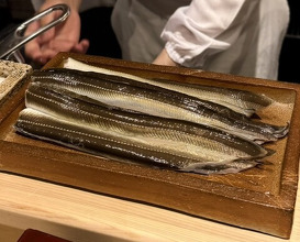 Dinner at Nihonbashi Sonoji (日本橋 蕎ノ字)