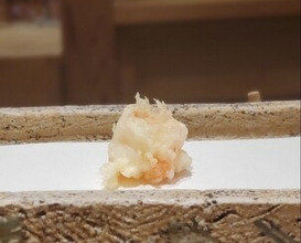 Dinner at Nihonbashi Sonoji (日本橋 蕎ノ字)