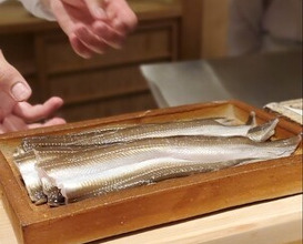 Dinner at Nihonbashi Sonoji (日本橋 蕎ノ字)