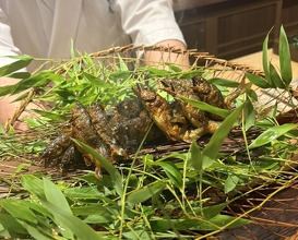Dinner at Kashiwade no Tsukasa Suikouan (膳司 水光庵)