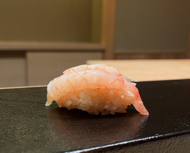 Dinner at Susukino Sushi Kin (すゝき野 鮨金)