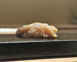 Dinner at Susukino Sushi Kin (すゝき野 鮨金)