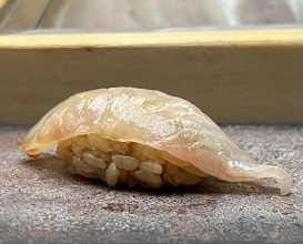 Dinner at Sushi Sho Yotsuya
