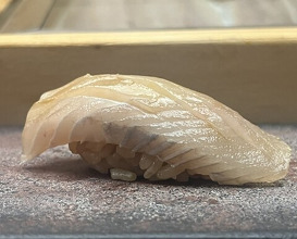 Dinner at Sushi Sho Yotsuya