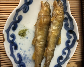 Dinner at Sushi Sho Yotsuya