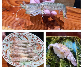 Dinner at Sushi Sho Nomura (鮨匠 のむら)