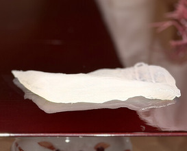 Dinner at Sushisho Saitō (すし匠 齋藤)