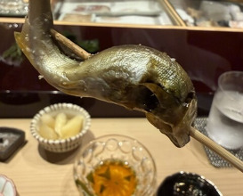 Dinner at Sushisho Saitō (すし匠 齋藤)