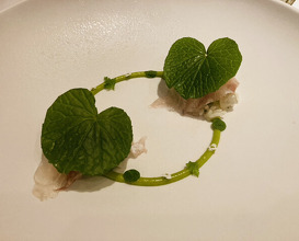 Dinner at LATURE (ラチュレ)