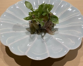 Dinner at Sushi Miyakawa (すし宮川)