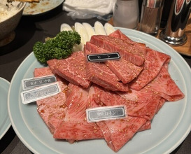 Dinner at Yakiniku Seiryuuen (焼肉 静龍苑)