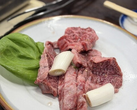 Dinner at Stamina En (スタミナ苑)