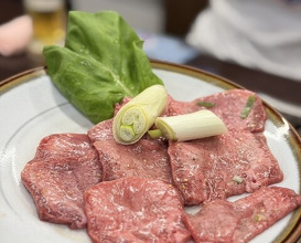 Dinner at Stamina En (スタミナ苑)