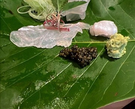 Dinner at Suzutashiki