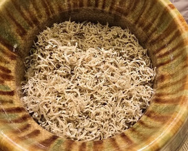 Dinner at Japanese cuisine Tagetsu (日本料理 太月)