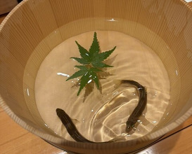 Dinner at Takiya Tempura (たきや)