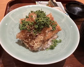 Dinner at Takiya Tempura (たきや)