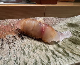 Dinner at Takumi Shingo (匠 進吾)
