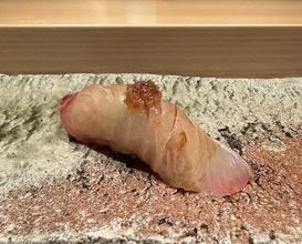 Dinner at Takumi Shingo (匠 進吾)