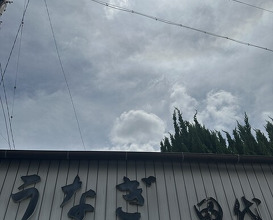 Dinner at Tashiro (田代)